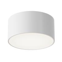 Уличный потолочный светильник Outdoor O430CL-L15W4K