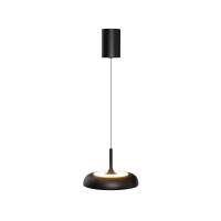 Подвесной светильник Maytoni MOD189PL-L30B3K