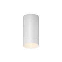 Уличный потолочный светильник Outdoor O500CL-L5W3K
