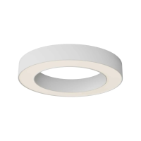 Потолочный светильник Maytoni Technical C093CL-36W3K-W