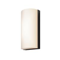Уличный настенный светильник Outdoor O454WL-L10GF3K1