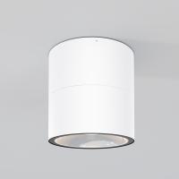Уличный потолочный светильник Outdoor O310CL-L12W3K
