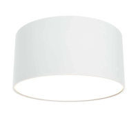 Потолочный светодиодный светильник Maytoni Technical Zon C032CL-12W3K-RD-W