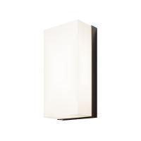 Уличный настенный светильник Outdoor O454WL-L10GF3K
