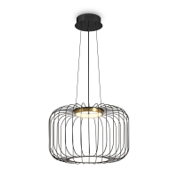 Подвесной светодиодный светильник Freya Citrus FR5398PL-L8B