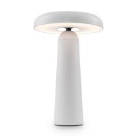 Аккумуляторный светильник Freya FR6109TL-L4W