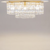 Потолочный светильник Maytoni DIA005CL-10G