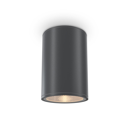 Уличный потолочный светильник Outdoor O306CL-L12GF