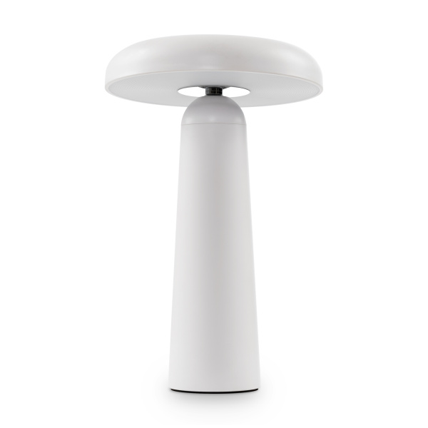 Аккумуляторный светильник Freya FR6109TL-L4W