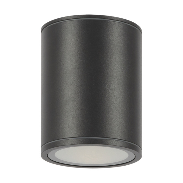 Уличный потолочный светильник Outdoor O306CL-L12GF