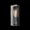 Уличный настенный светильник Outdoor O450WL-01GF