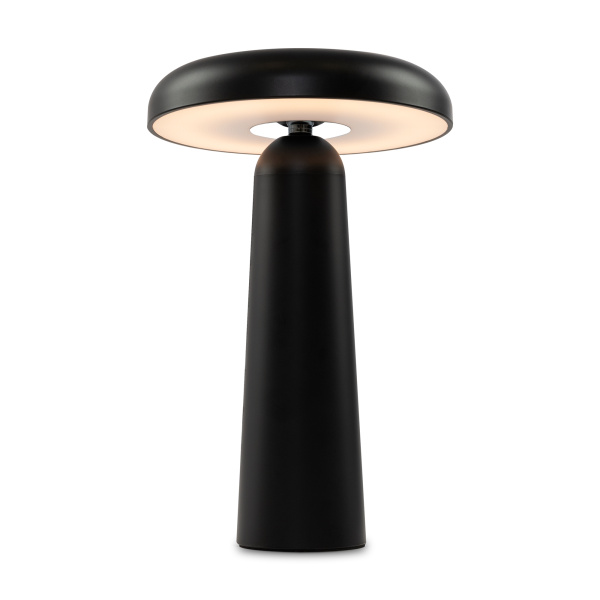 Аккумуляторный светильник Freya FR6109TL-L4B