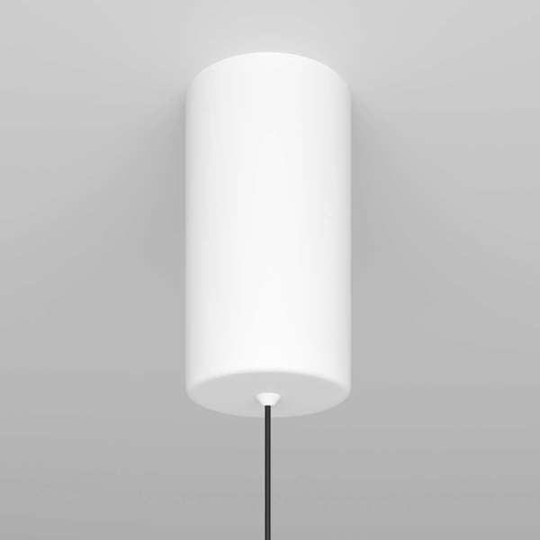 Подвесной светильник Maytoni Ray P022PL-L10W