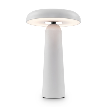 Аккумуляторный светильник Freya FR6109TL-L4W