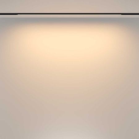 Трековый светильник Maytoni Technical TR173-1-24WTW-B