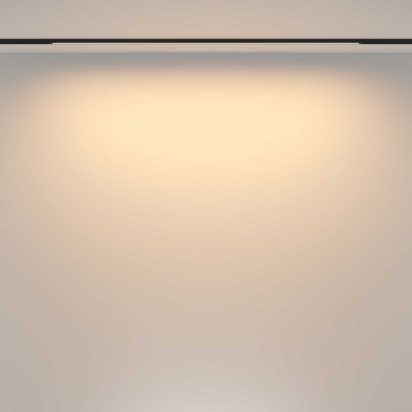 Трековый светильник Maytoni Technical TR173-1-24WTW-B