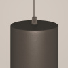 Подвесной светильник Maytoni P085PL-12W4K-B