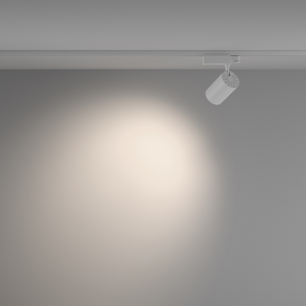 Трековый светильник Technical TR029-3-20W4K-W-W