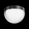 Уличный потолочный светильник Outdoor O438CL-L12GF3K