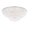 Потолочный светильник Maytoni DIA100-CL-42-G