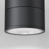 Уличный потолочный светильник Outdoor O310CL-L12GF3K