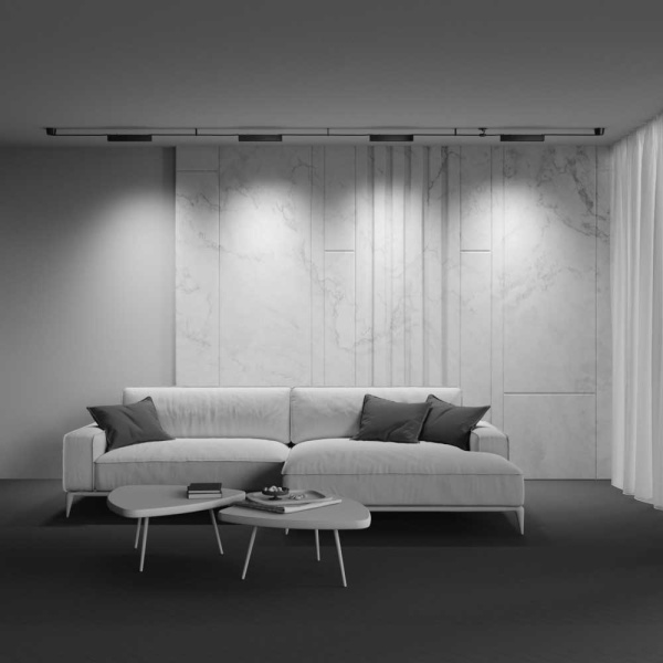 Подвесной светодиодный светильник Maytoni Technical Pendant system Parity Points TR128B-12W3K-M-B