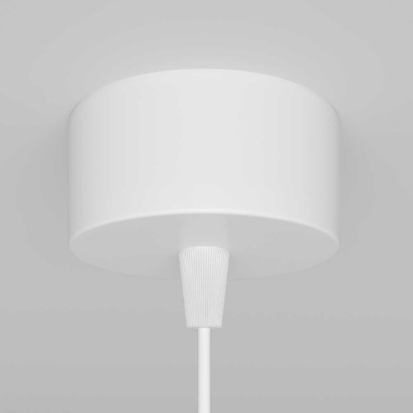 Подвесной светильник Maytoni Technical Focus P075PL-01W