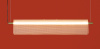 Подвесной светильник Freya FR5556PL-L22BBS