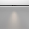 Трековый светильник Technical TR100-2-2W4K-S-B