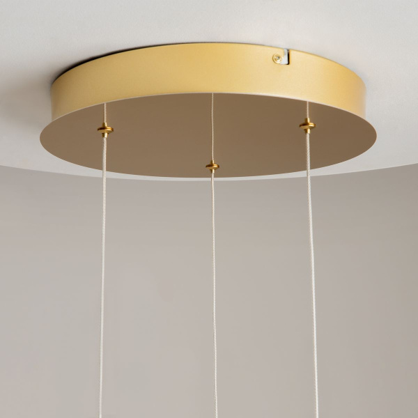 Подвесная светодиодная люстра Maytoni Foresight MOD347PL-L24BS3K