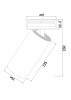 Потолочный светильник Technical C057CL-L12W3K