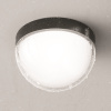 Уличный потолочный светильник Outdoor O438CL-L12GF3K