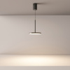 Подвесной светильник Maytoni P076PL-L12W3K-B