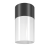 Уличный потолочный светильник Outdoor O418CL-01B