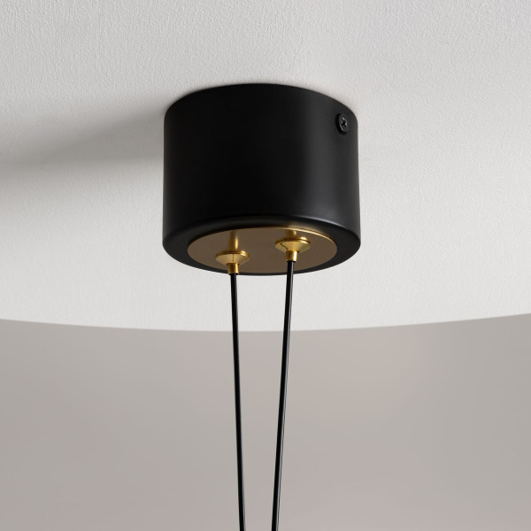 Подвесной светодиодный светильник Maytoni Link MOD357PL-L14BS3K