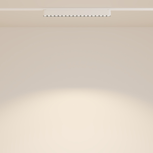 Трековый светодиодный светильник Maytoni Technical Radity Points TR082-1-18W3K-M-W