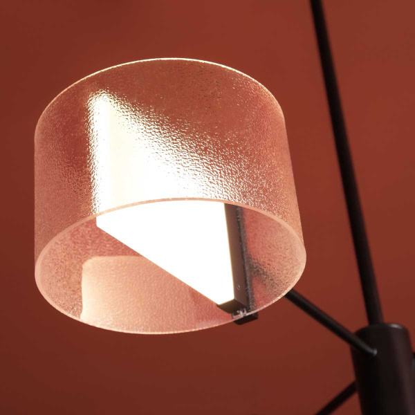 Потолочный светильник Freya FR5541CL-L30B