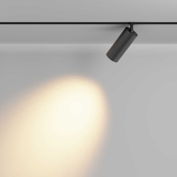 Трековый светильник Maytoni Technical Focus LED TR032-2-20W2.7K-M-B