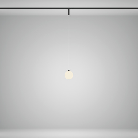 Трековый подвесной светильник Technical TR178-1-5WTW-B
