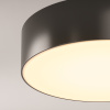Уличный потолочный светильник Outdoor O431CL-L30B3K