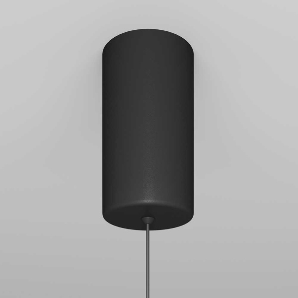 Подвесной светильник Maytoni Ray P022PL-L10B