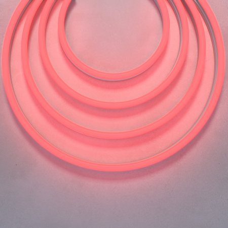 Гибкий неон Led Strip 200501