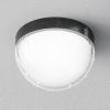 Уличный потолочный светильник Outdoor O438CL-L12GF3K
