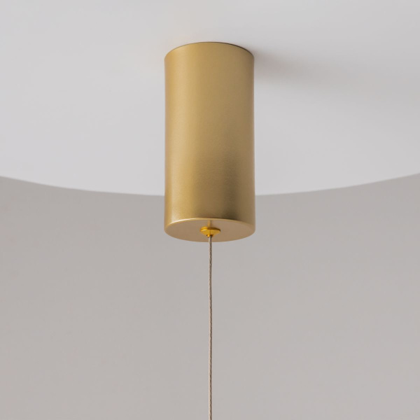 Подвесной светильник Maytoni Ray P022PL-L10MG3K