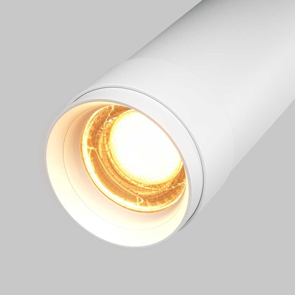 Потолочный светильник Maytoni Technical C055CL-L12W2.7K-Z-W