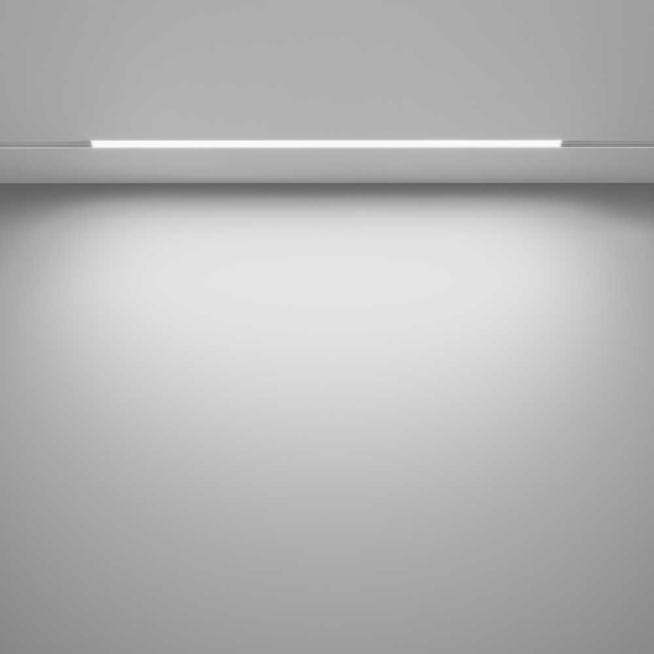 Трековый светодиодный светильник Maytoni Technical Exility Basis TR030-4-24WTW-DD-W