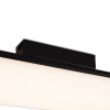 Потолочный светильник Freya FR5625CL-L20B