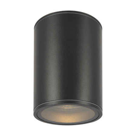 Уличный потолочный светильник Outdoor O306CL-L7GF