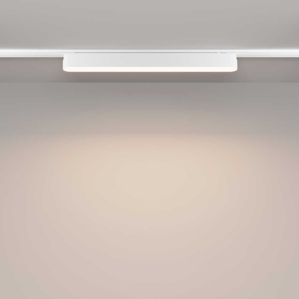 Трековый светодиодный светильник Maytoni Technical Radity Basis TR080-1-18W4K-W