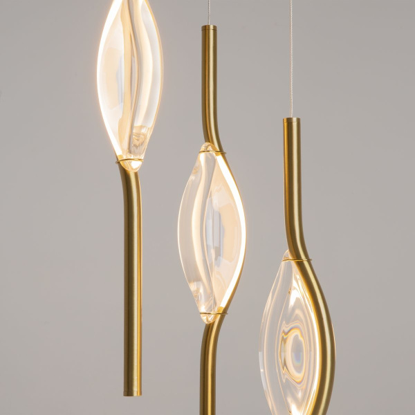 Подвесная светодиодная люстра Maytoni Foresight MOD347PL-L24BS3K